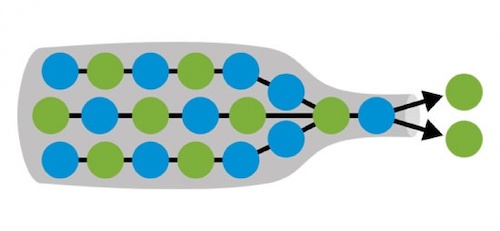 bottleneck